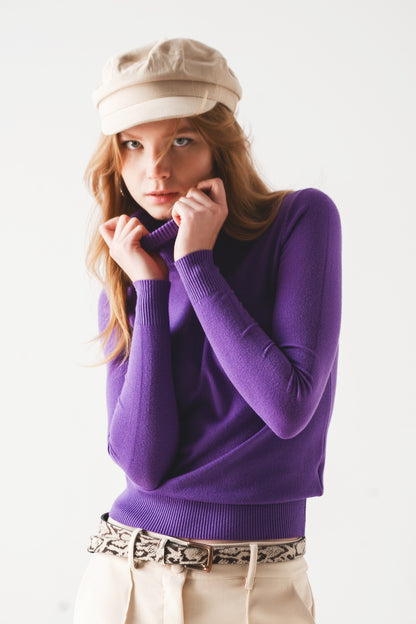 Basic Fine knit high neck jumper in purple