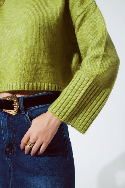 Cropped Chunky Knit Sweater With Turtle Neck in Green