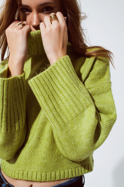 Cropped Chunky Knit Sweater With Turtle Neck in Green