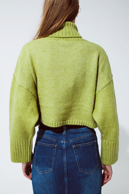 Cropped Chunky Knit Sweater With Turtle Neck in Green